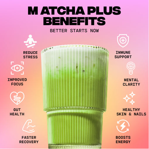 Matcha+ Starter Kit (30 Servings) - Starter Pick